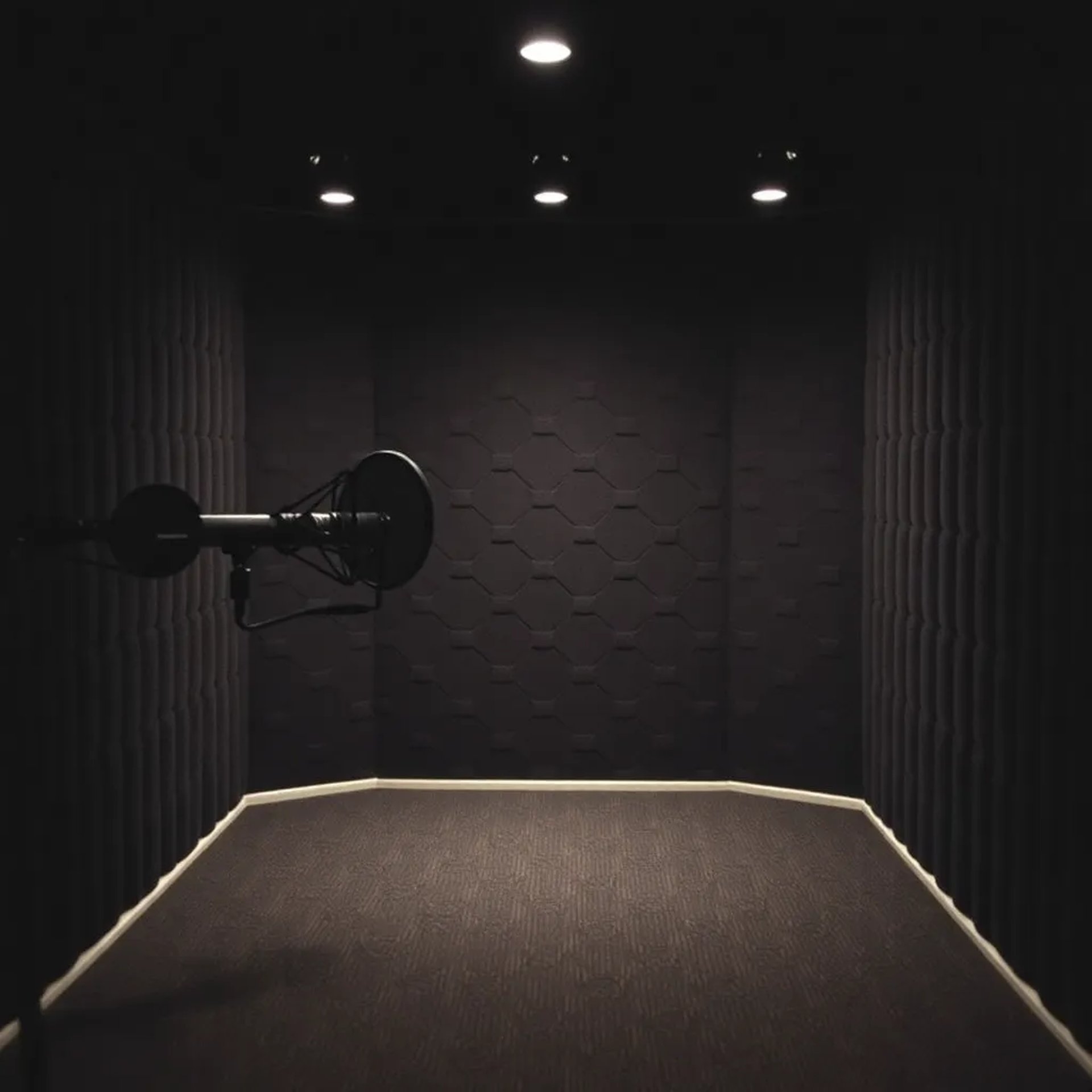 Voice Acting Workshop